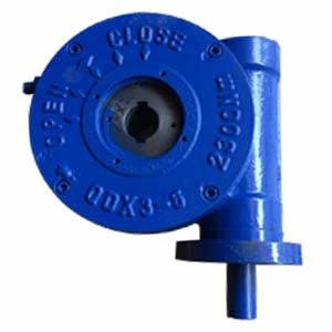 Ductile Iron Butterfly Valve Gear Box, 10 Inch